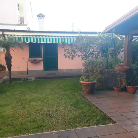 Il Cedro *