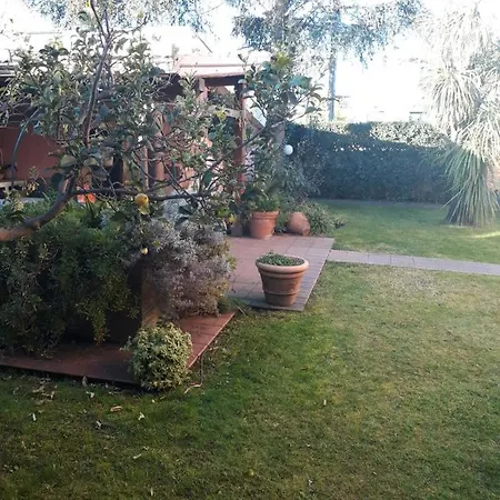 Il Cedro *